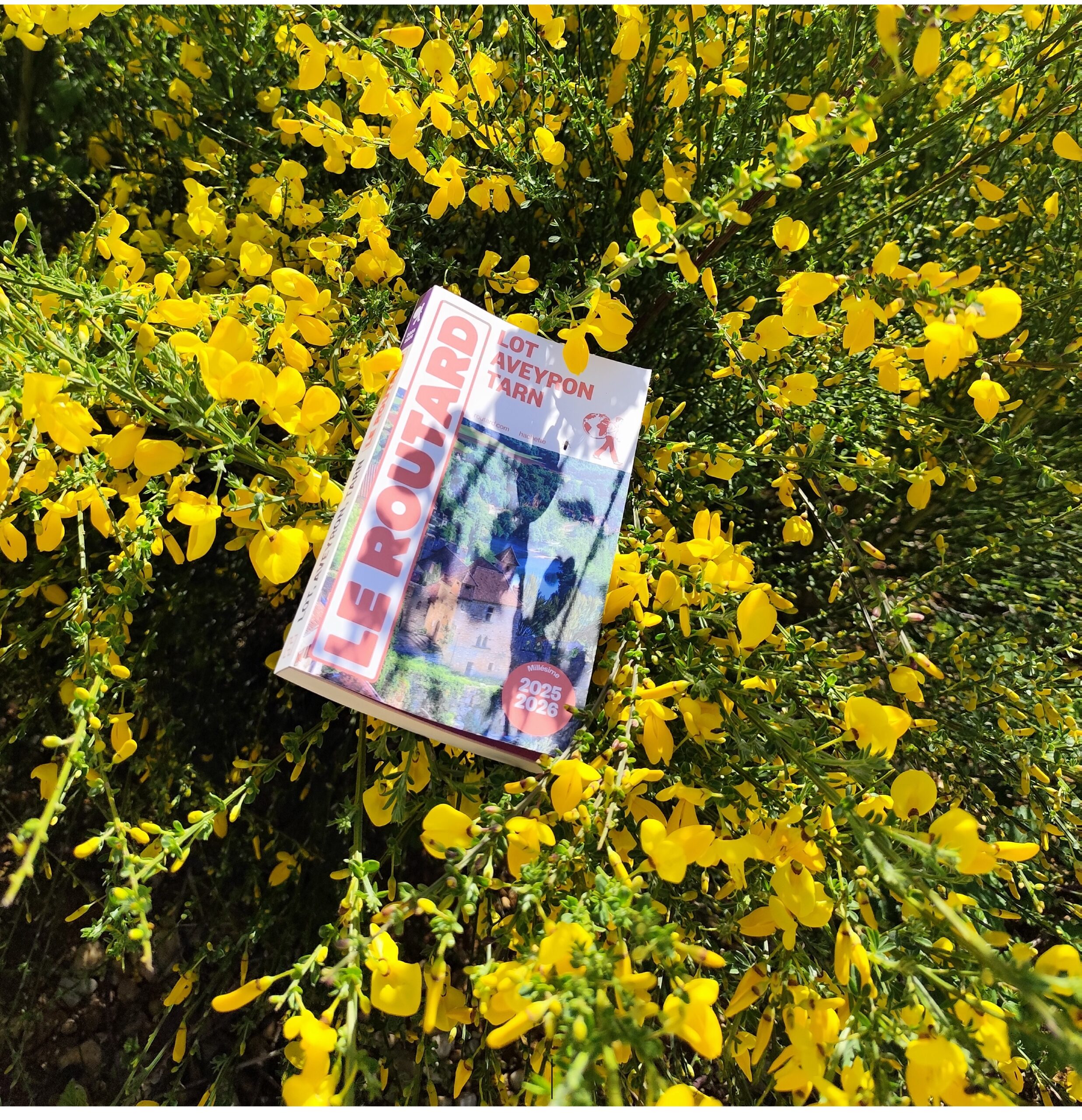 🌍 Eco Ceiba entre dans le Guide du Routard 2025 : une belle reconnaissance pour un tourisme qui a du sens