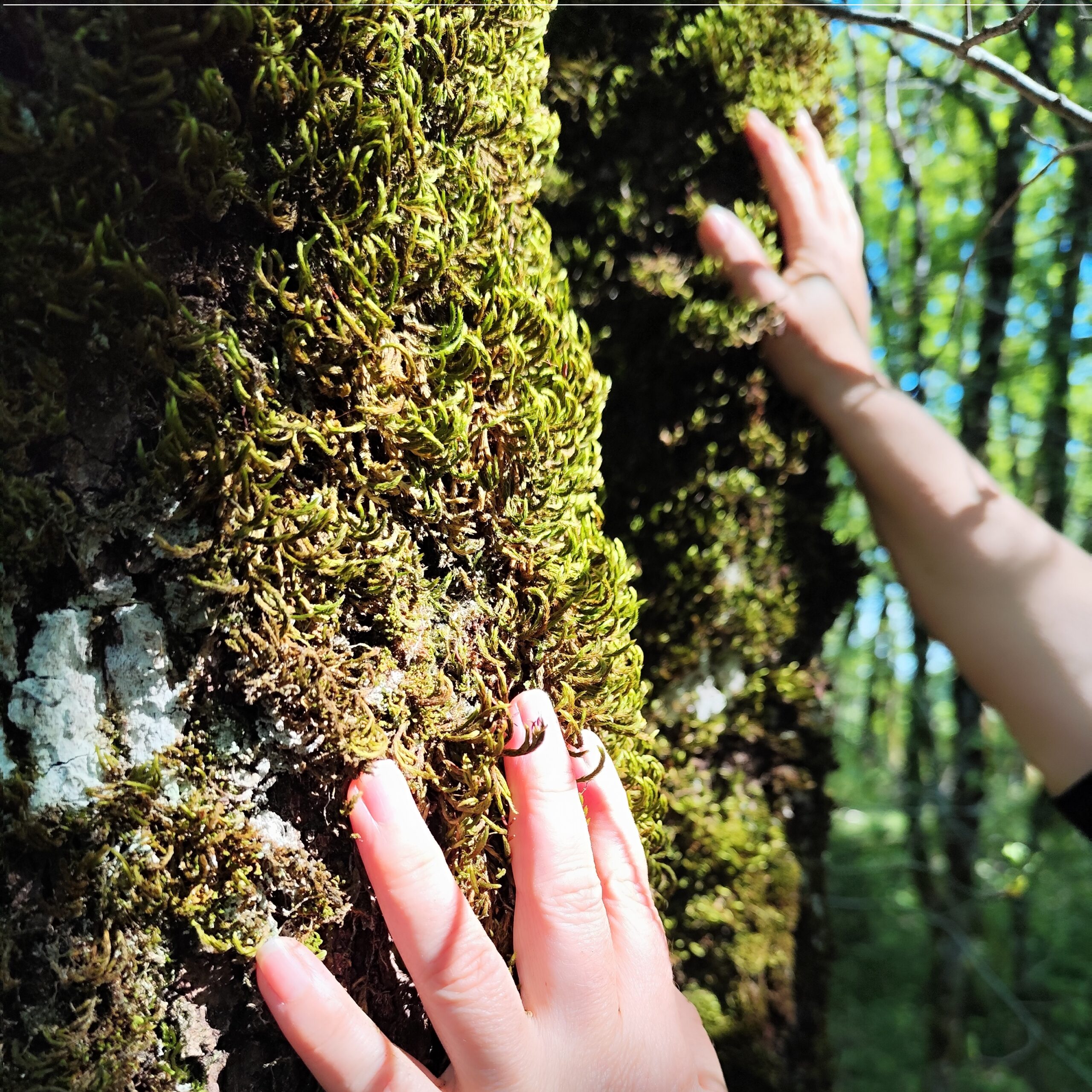 🌿 Retour sur le workshop du 11 avril : des professionnels conquis par l’expérience nature